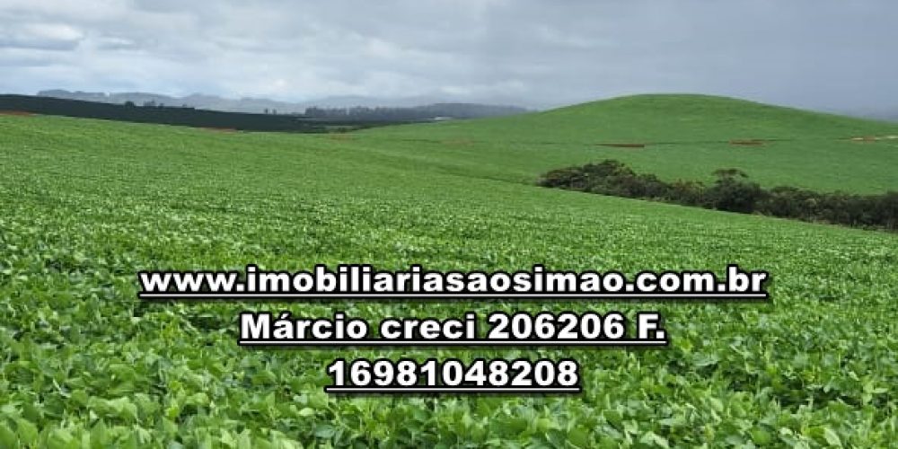 WhatsApp Image 2024-10-23 at 19.39.30