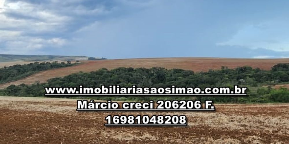 WhatsApp Image 2024-10-23 at 19.39.31 (1)