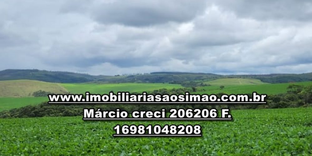 WhatsApp Image 2024-10-23 at 19.39.31 (2)