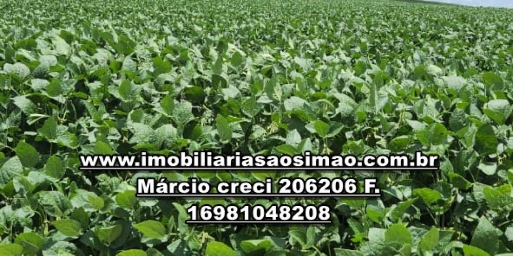 WhatsApp Image 2024-10-23 at 19.39.31