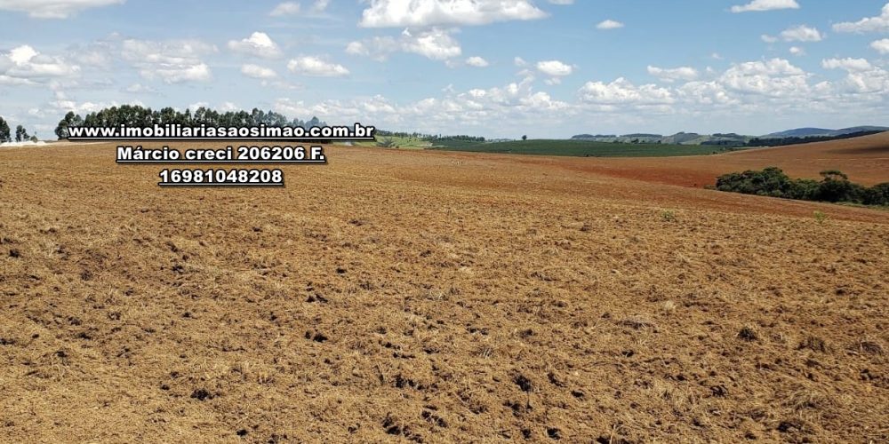 WhatsApp Image 2024-10-23 at 19.39.32 (1)