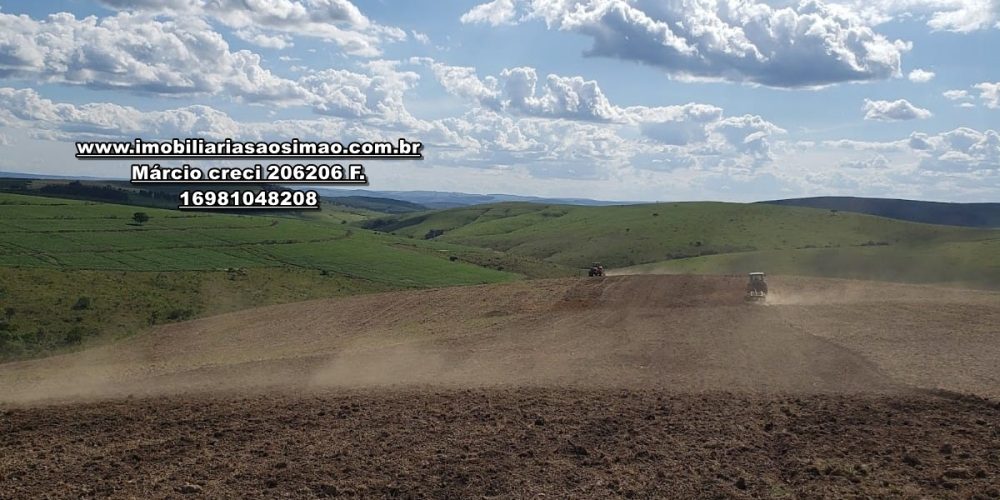 WhatsApp Image 2024-10-23 at 19.39.32 (2)