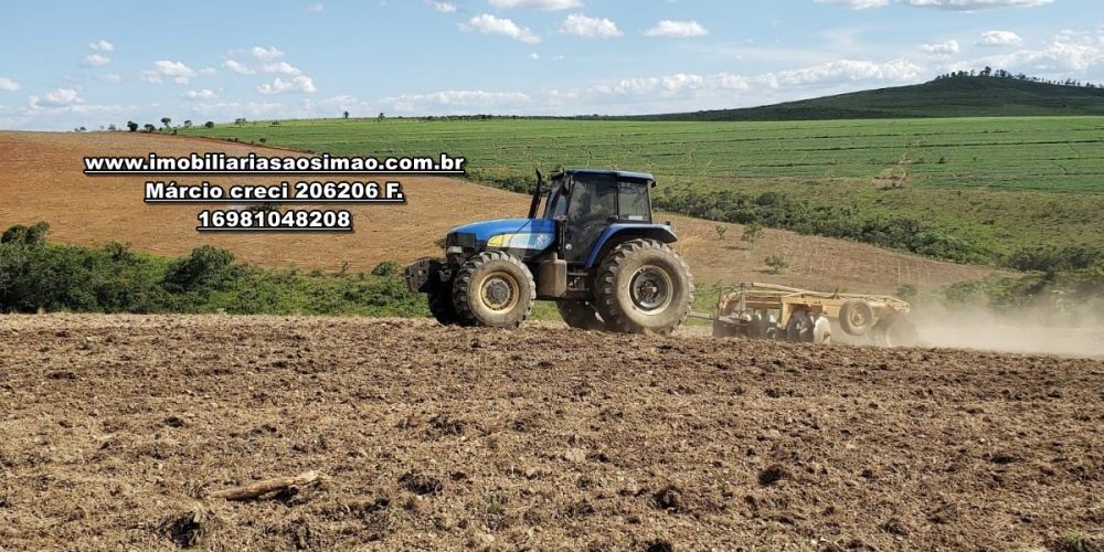 WhatsApp Image 2024-10-23 at 19.39.32