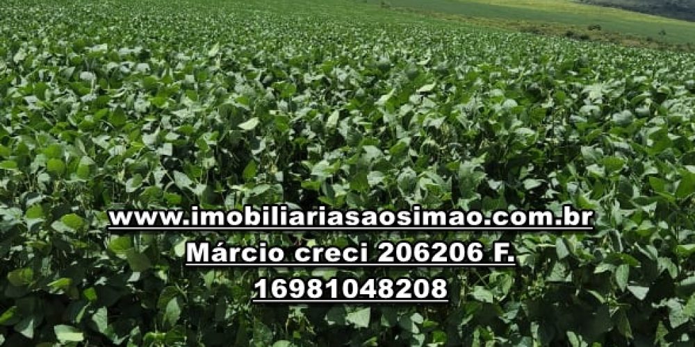 WhatsApp Image 2024-10-23 at 19.39.33 (1)