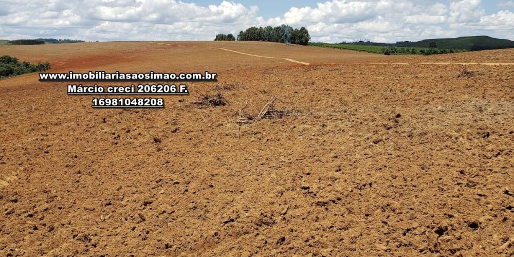 WhatsApp Image 2024-10-23 at 19.39.33