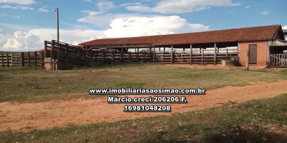 WhatsApp Image 2024-10-29 at 20.54.59