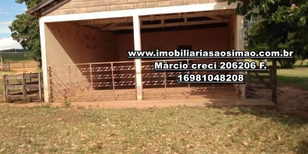 WhatsApp Image 2024-10-29 at 20.55.00