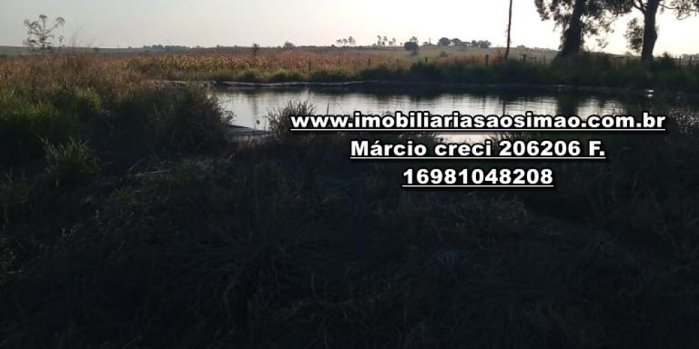 WhatsApp Image 2024-10-29 at 20.55.01 (4)