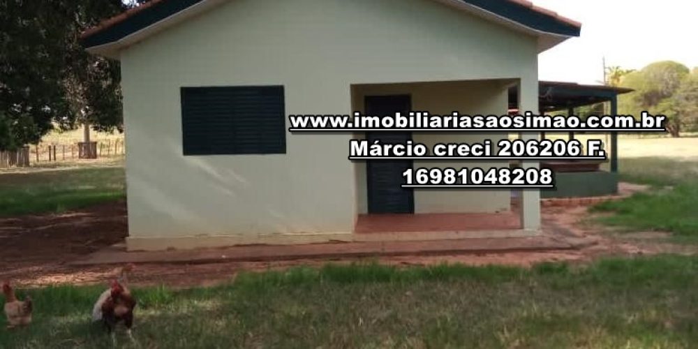 WhatsApp Image 2024-10-29 at 20.55.01