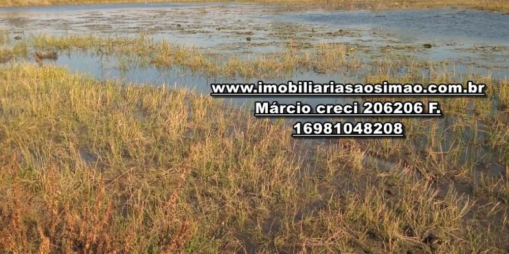 WhatsApp Image 2024-10-29 at 20.55.02