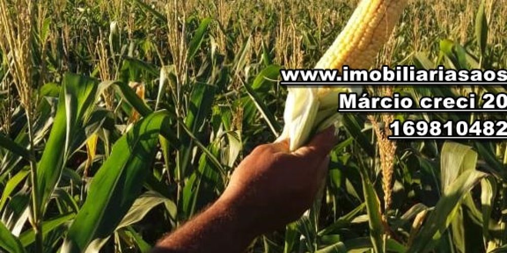 WhatsApp Image 2024-10-29 at 20.55.03 (3)