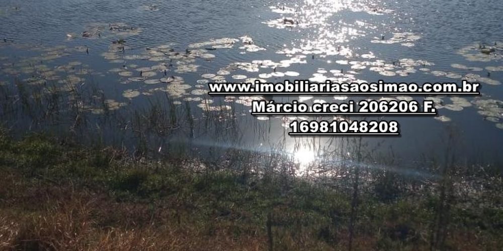 WhatsApp Image 2024-10-29 at 20.55.03