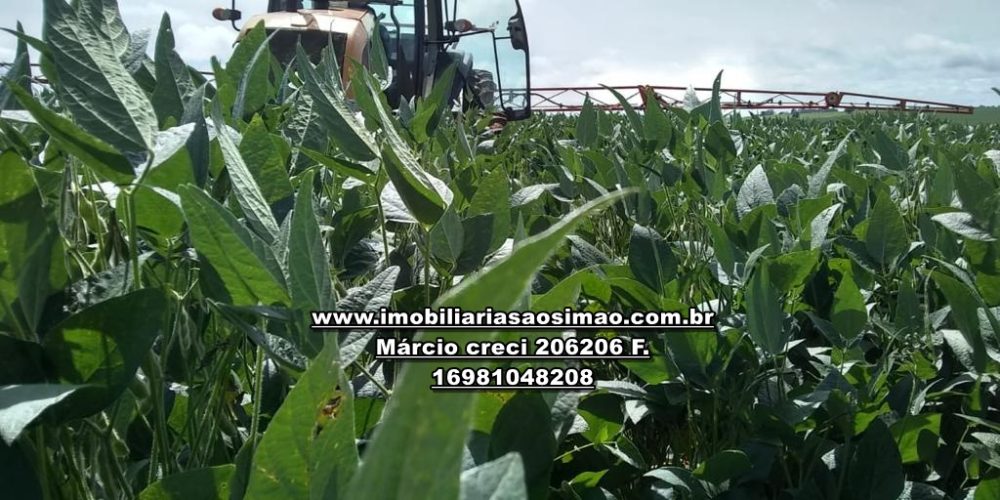 WhatsApp Image 2024-10-29 at 20.55.04 (1)