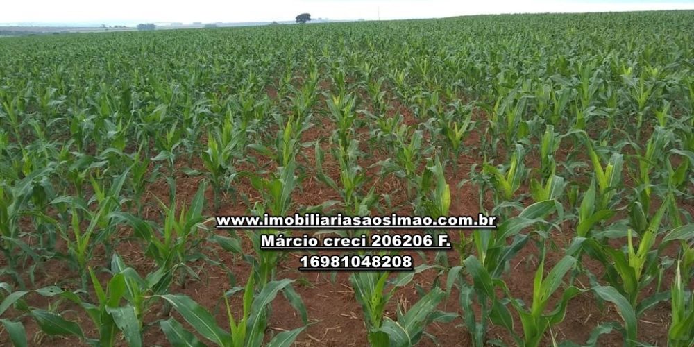 WhatsApp Image 2024-10-29 at 20.55.04 (2)