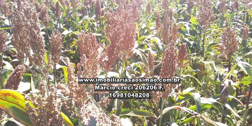 WhatsApp Image 2024-10-29 at 20.55.04 (3)