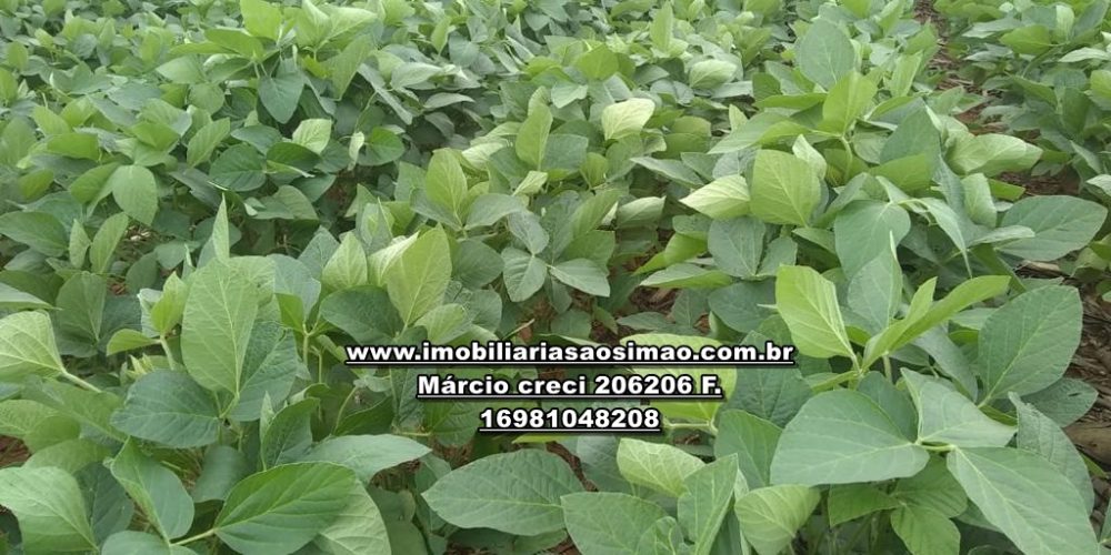 WhatsApp Image 2024-10-29 at 20.55.04