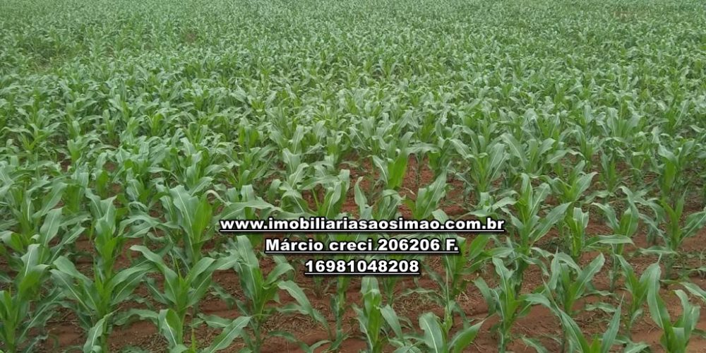 WhatsApp Image 2024-10-29 at 20.55.05 (1)