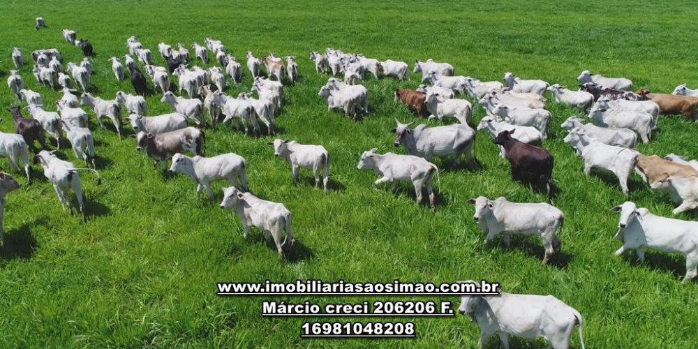 WhatsApp Image 2024-10-29 at 20.55.05 (3)