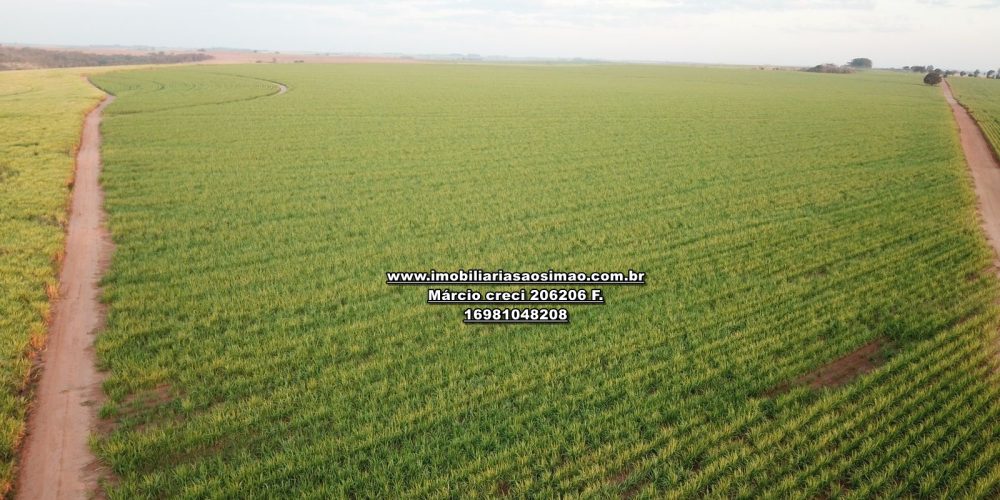 WhatsApp Image 2024-11-01 at 11.35.19 (1)