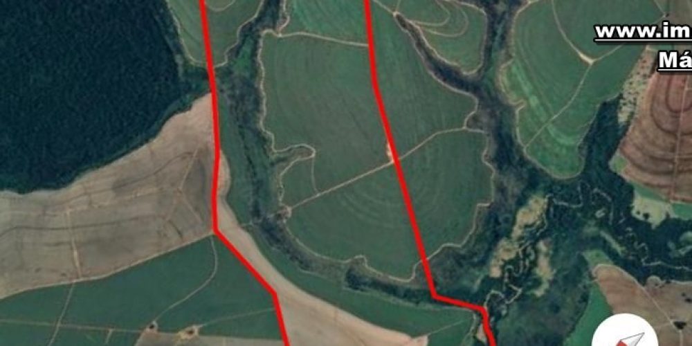 WhatsApp Image 2024-11-01 at 11.35.19