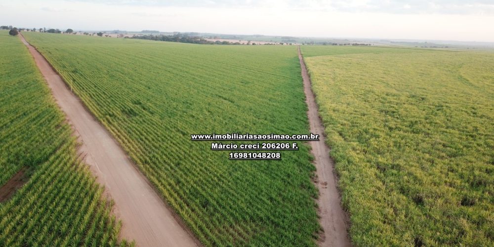 WhatsApp Image 2024-11-01 at 11.35.20 (1)