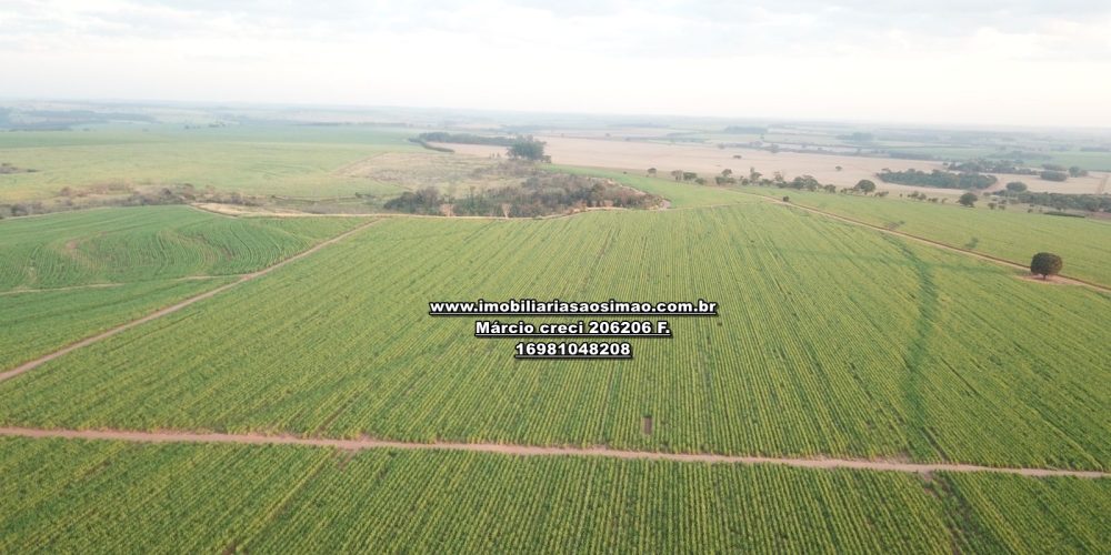 WhatsApp Image 2024-11-01 at 11.35.20