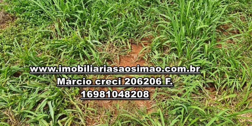 WhatsApp Image 2024-11-08 at 11.31.59