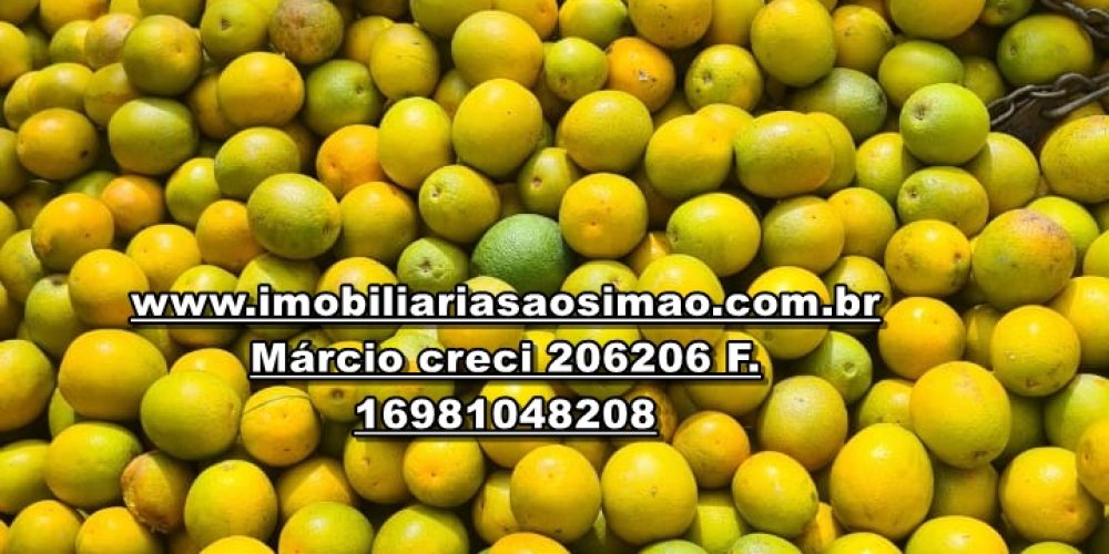 WhatsApp Image 2024-11-08 at 11.32.01 (1)