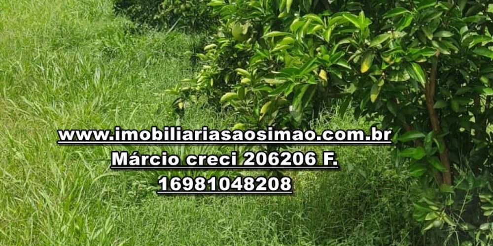 WhatsApp Image 2024-11-08 at 11.32.02 (1)