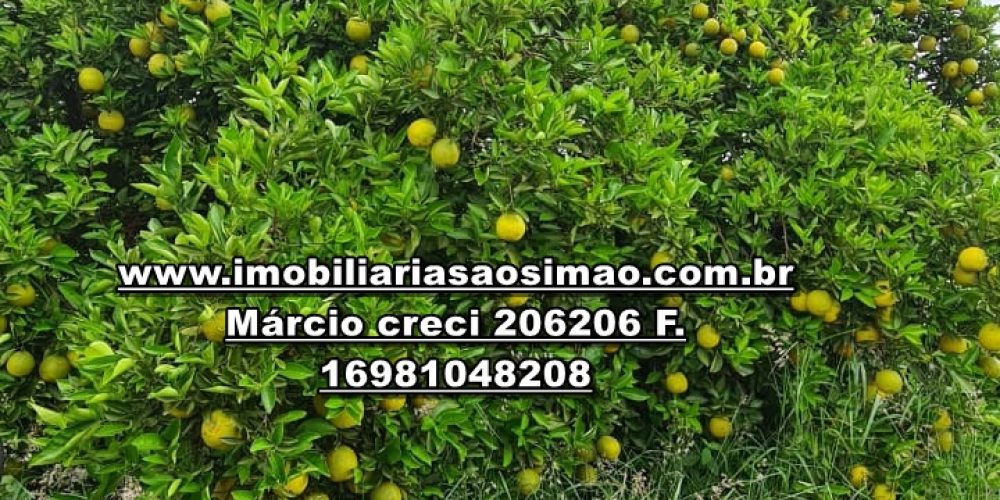 WhatsApp Image 2024-11-08 at 11.32.03