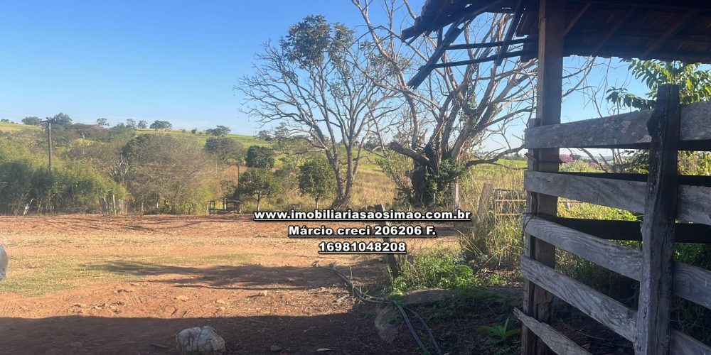 WhatsApp Image 2024-12-06 at 15.28.31 (1)