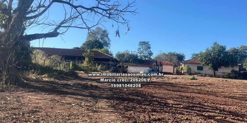 WhatsApp Image 2024-12-06 at 15.28.31