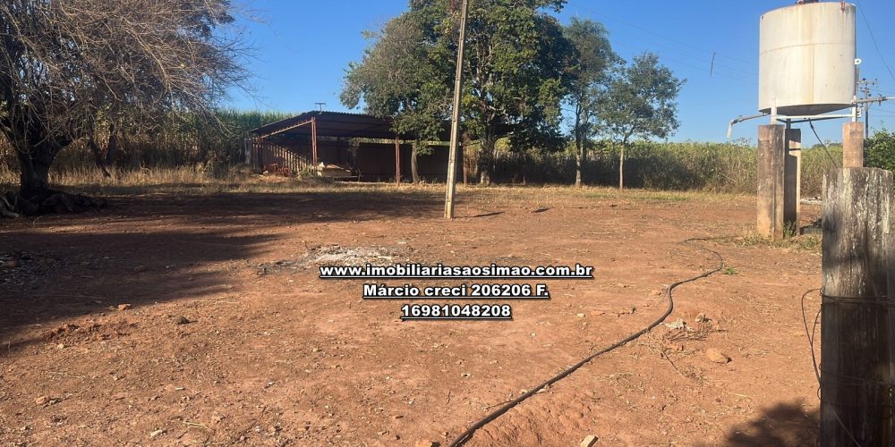 WhatsApp Image 2024-12-06 at 15.28.33 (1)