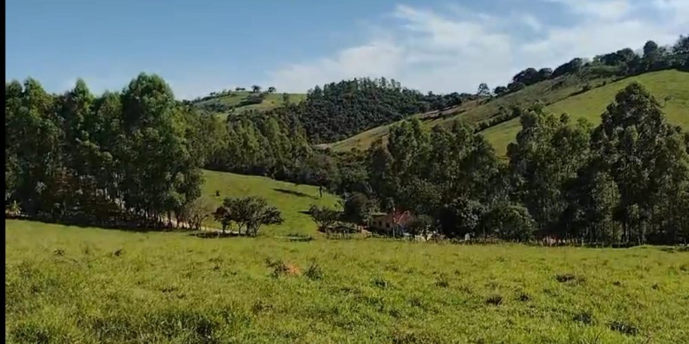 WhatsApp Image 2024-12-28 at 10.30.49