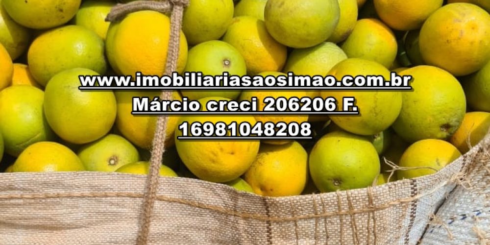 WhatsApp Image 2025-01-24 at 08.21.53