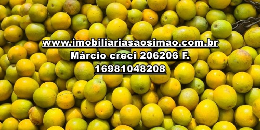 WhatsApp Image 2025-01-24 at 08.21.54 (1)