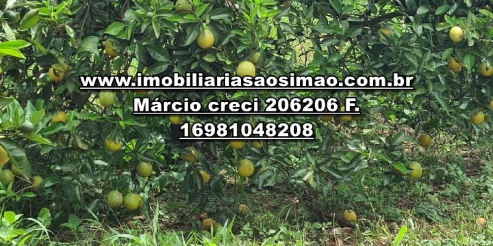 WhatsApp Image 2025-01-24 at 08.21.54