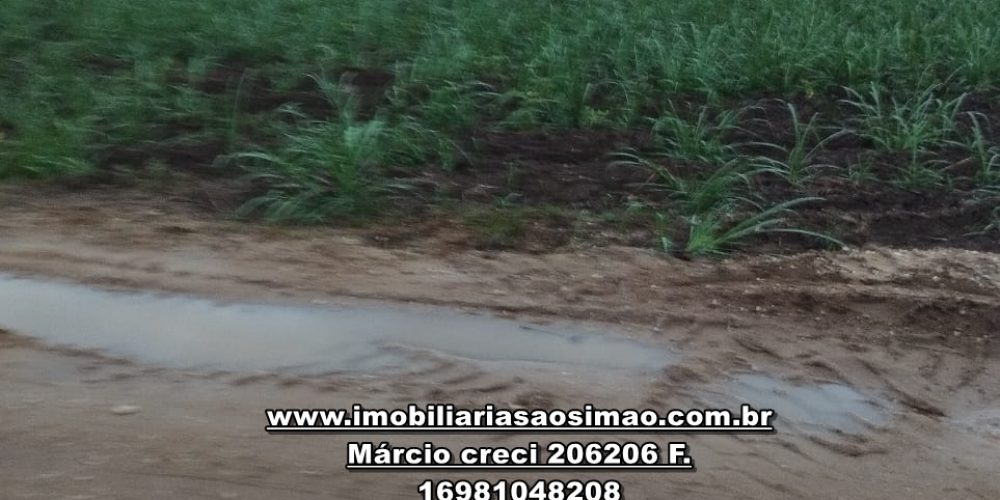 WhatsApp Image 2025-01-25 at 15.09.06 (1)