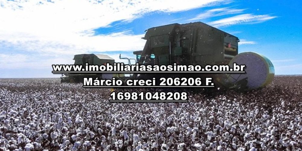WhatsApp Image 2025-02-26 at 23.43.29 (1)