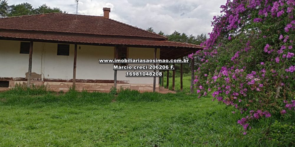 WhatsApp Image 2025-03-29 at 16.48.08 (2)