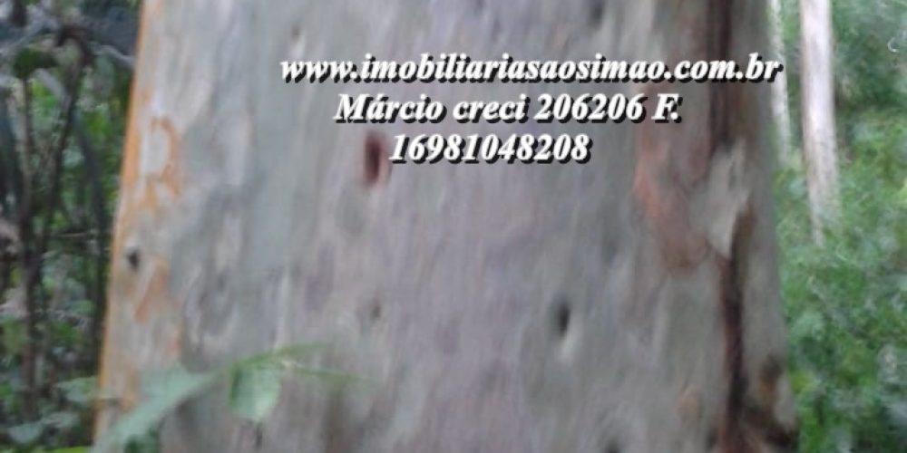 WhatsApp Image 2025-04-02 at 10.07.56 (1)
