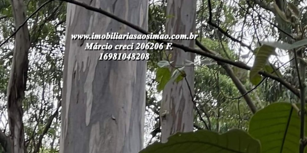 WhatsApp Image 2025-04-02 at 10.07.56