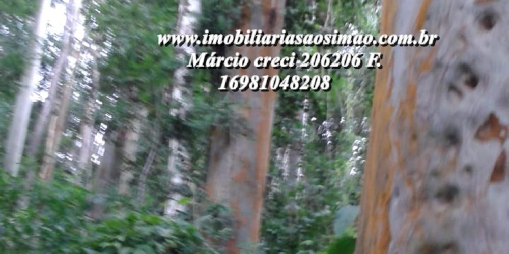 WhatsApp Image 2025-04-02 at 10.07.57 (1)