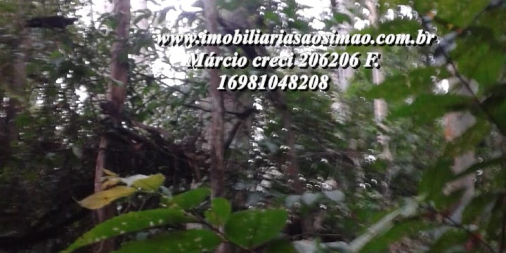 WhatsApp Image 2025-04-02 at 10.07.57