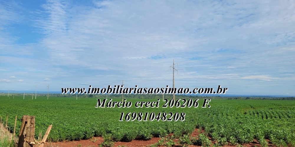 WhatsApp Image 2025-06-01 at 13.21.19