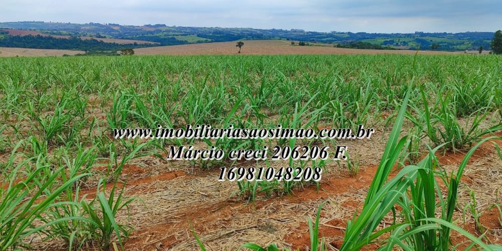 WhatsApp Image 2025-08-08 at 08.21.04