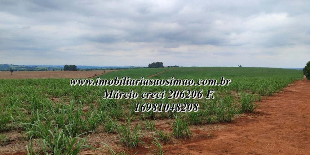 WhatsApp Image 2025-08-08 at 08.21.08 (1)