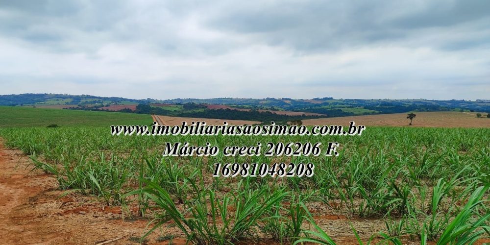 WhatsApp Image 2025-08-08 at 08.21.08 (2)