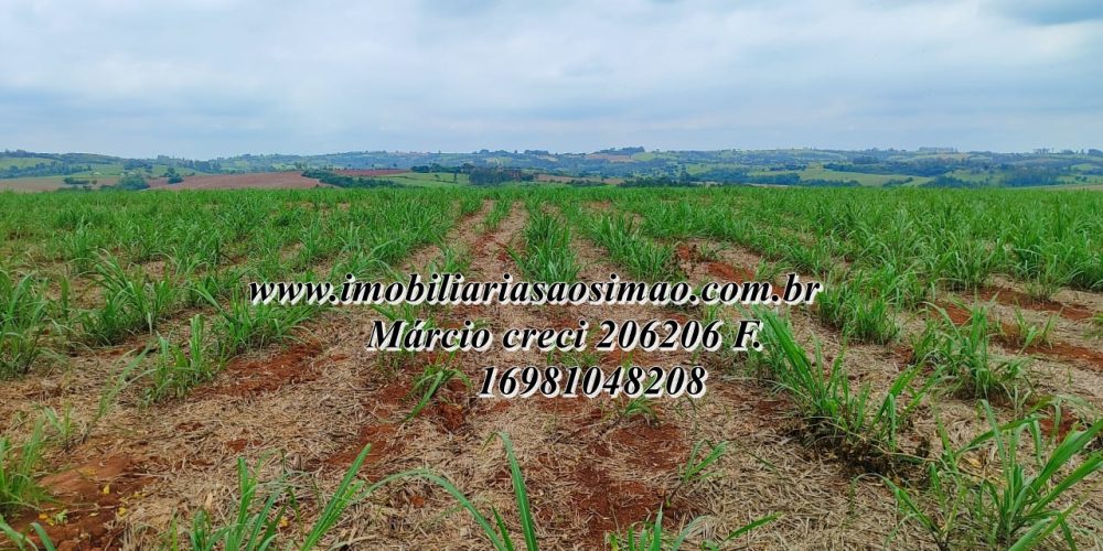 WhatsApp Image 2025-08-08 at 08.21.08