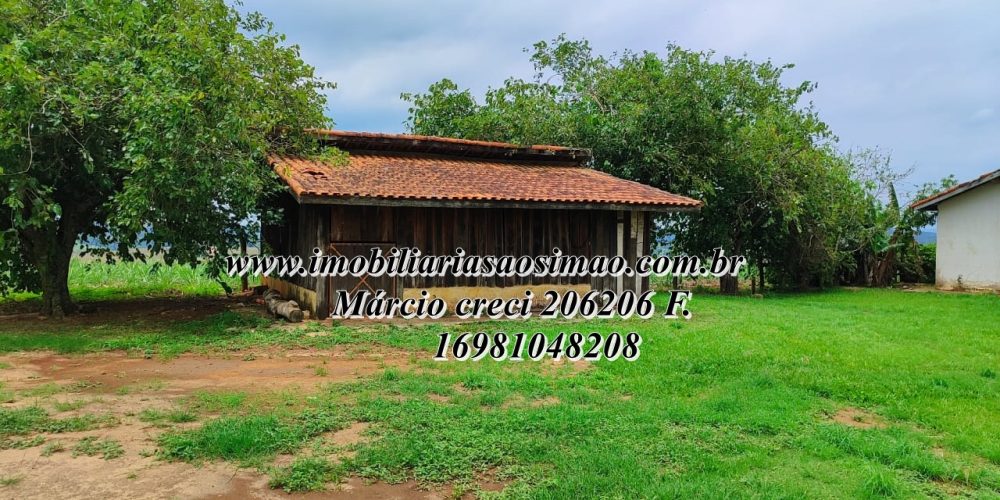 WhatsApp Image 2025-08-08 at 08.21.10 (1)